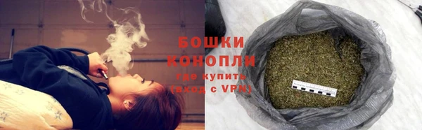 ГАЛЛЮЦИНОГЕННЫЕ ГРИБЫ Кулебаки