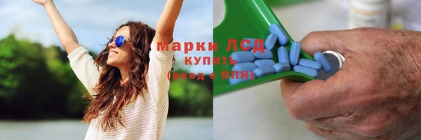 ГАЛЛЮЦИНОГЕННЫЕ ГРИБЫ Кулебаки