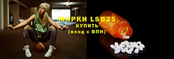ГАЛЛЮЦИНОГЕННЫЕ ГРИБЫ Кулебаки