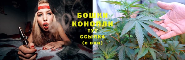 ГАЛЛЮЦИНОГЕННЫЕ ГРИБЫ Кулебаки