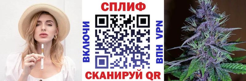 Бошки Шишки семена Нюрба